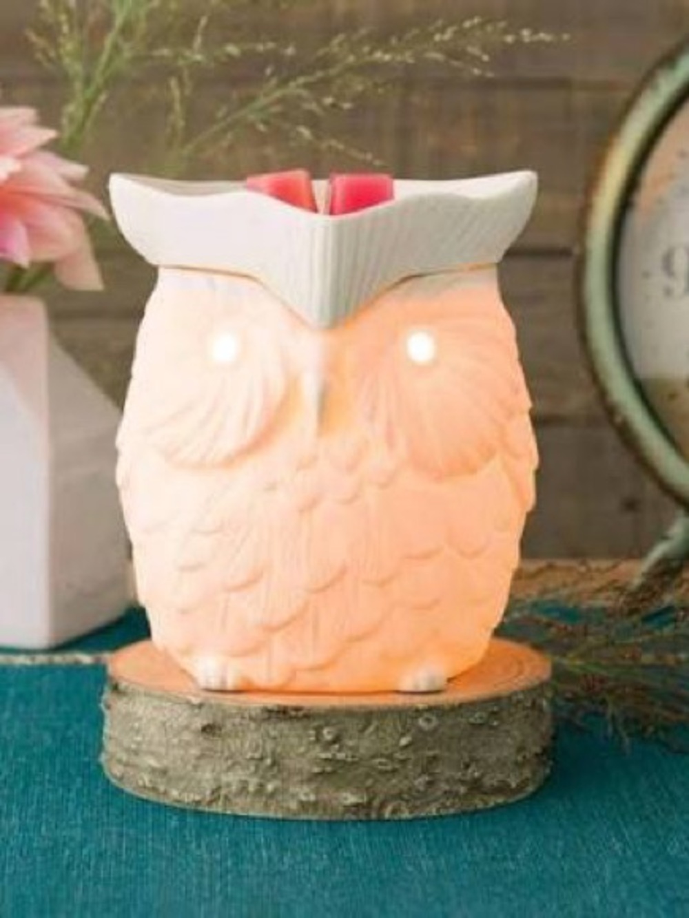 WHOOT SCENTSY WARMER